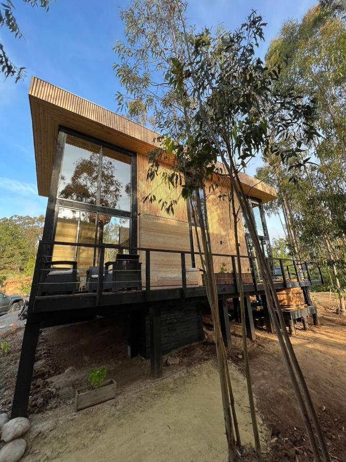 Tripanko Lodge & Bungalows Pichilemu Bagian luar foto