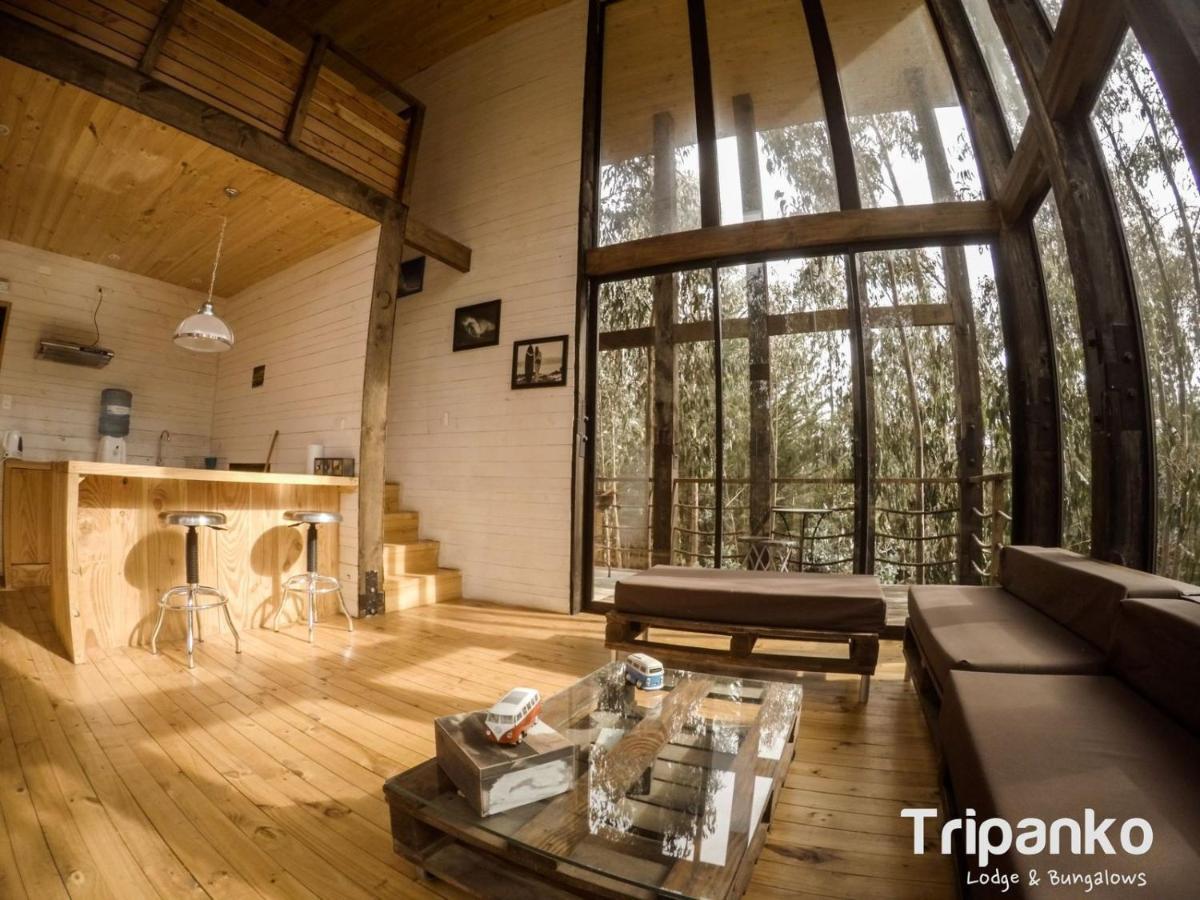 Tripanko Lodge & Bungalows Pichilemu Bagian luar foto