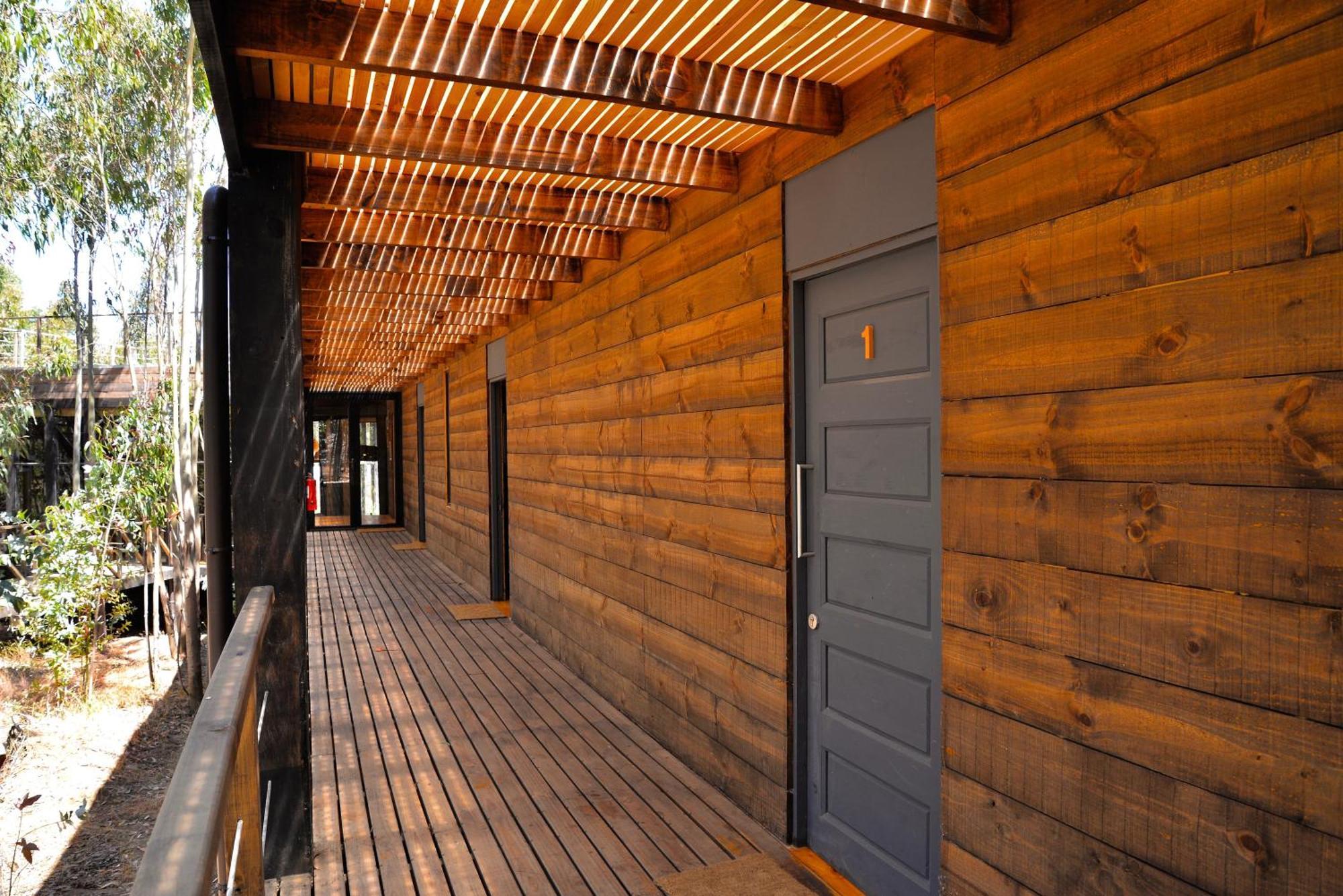 Tripanko Lodge & Bungalows Pichilemu Ruang foto